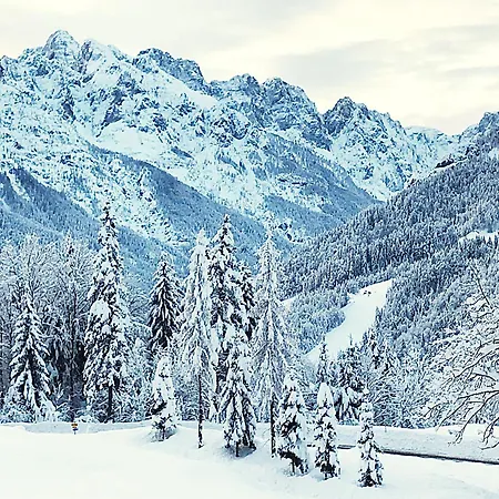 Pr'gavedarjo Eco Heritage 3* Kranjska Gora
