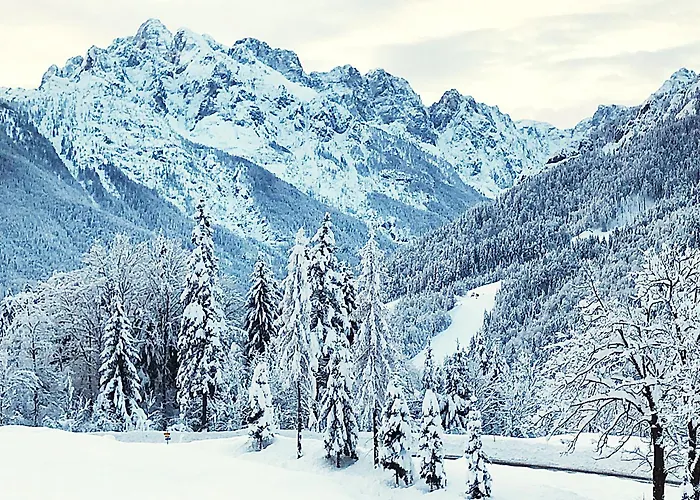 Pr'gavedarjo Eco Heritage 3* Kranjska Gora